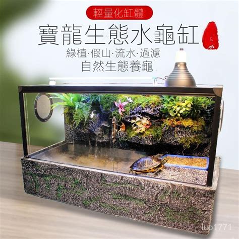 烏龜家佈置|【烏龜缸diy】最全烏龜缸布置、造景、換水總整理，新手不煩惱